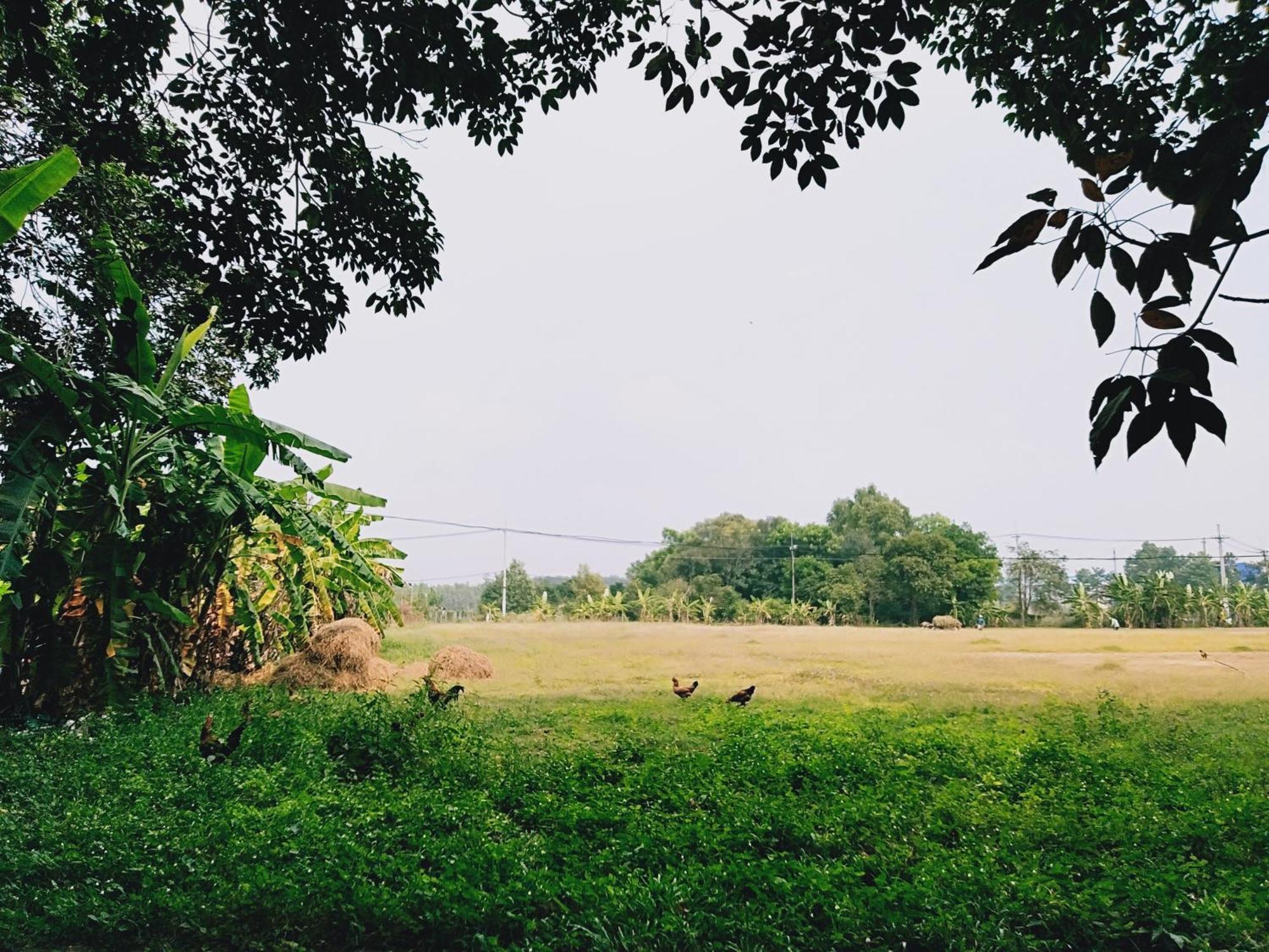 Lotus Retreat Bandar Ho Chi Minh Luaran gambar